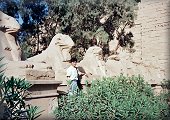 Egypt -- Luxor East Side (���N�\�[������) --