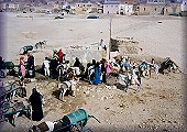 Egypt -- Luxor West Side (���N�\�[������) --